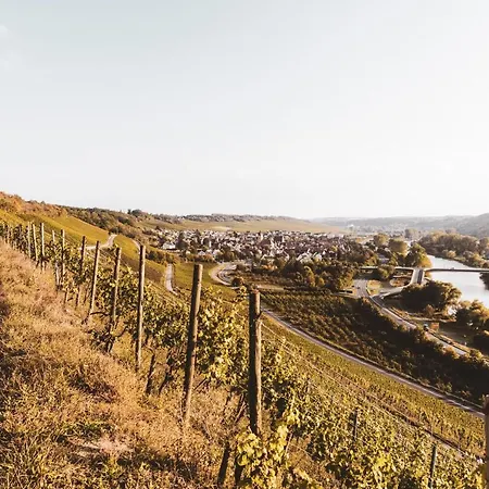 Weingut Pastoriushaus - Artur Steinmann 3*