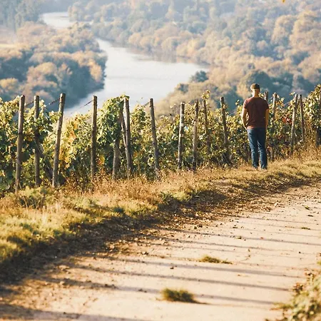 Weingut Pastoriushaus - Artur Steinmann Penzion