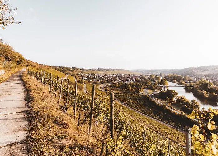 Weingut Pastoriushaus - Artur Steinmann 3*