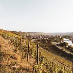 Weingut Pastoriushaus - Artur Steinmann 3*