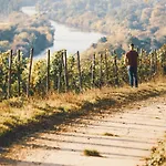Weingut Pastoriushaus - Artur Steinmann بيت ضيافة