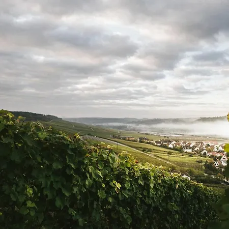 Weingut Pastoriushaus - Artur Steinmann بيت ضيافة