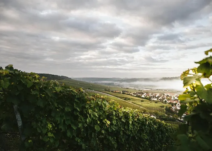 Weingut Pastoriushaus - Artur Steinmann بيت ضيافة