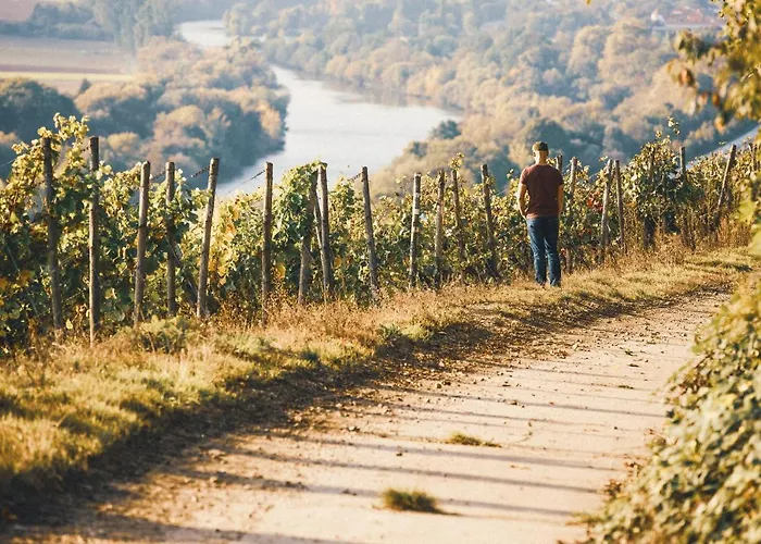 Weingut Pastoriushaus - Artur Steinmann Penzion